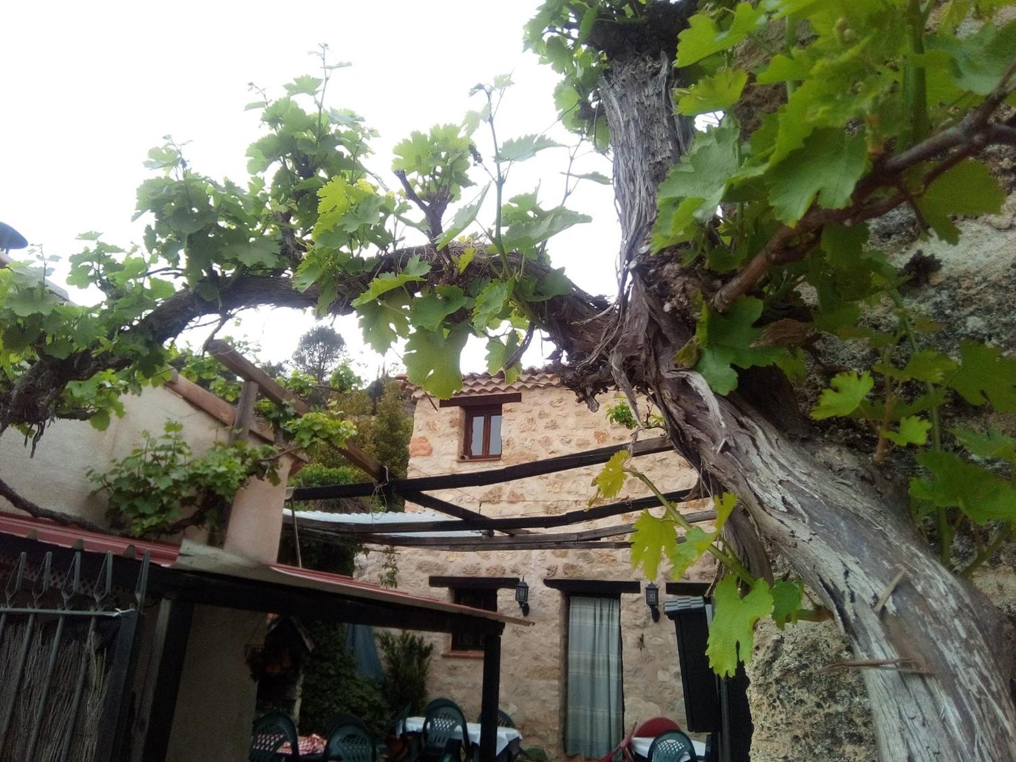 Posada Del Dulce Sueno Mojares Ngoại thất bức ảnh